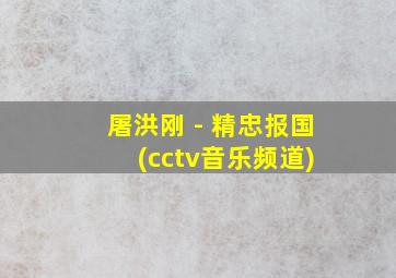 屠洪刚 - 精忠报国 (cctv音乐频道)